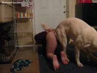 Amateur dude getting ass fucked by his mutt in this beastiality movie
